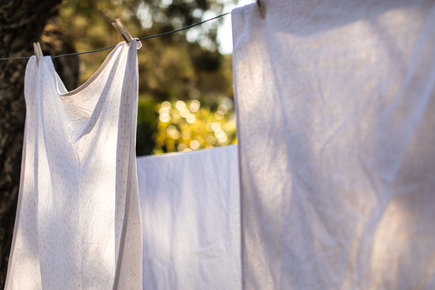 The 7 Finest Clotheslines