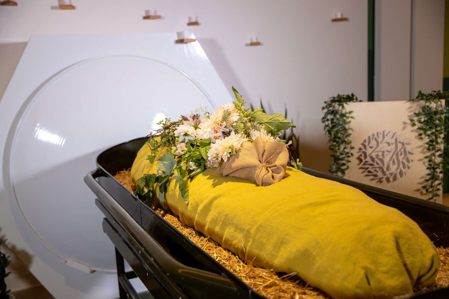 New York Expands Inexperienced Burial Choices With Human Composting