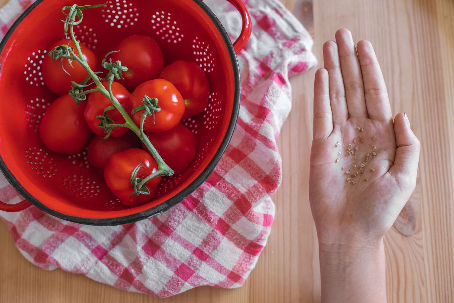 Easy methods to Save Tomato Seeds: Step-by-Step Directions